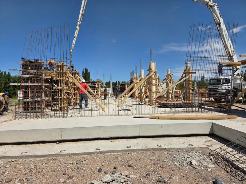 Concrete columns in formwork with timber props and reinforcement cages awaiting casting